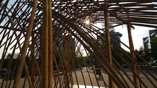 董书兵大型竹子装置雕塑作品“融”收藏仪式